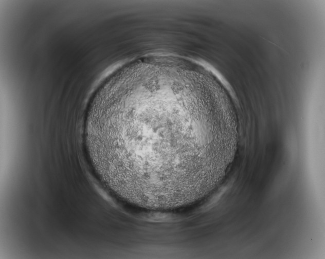 X0000083980437200703091827