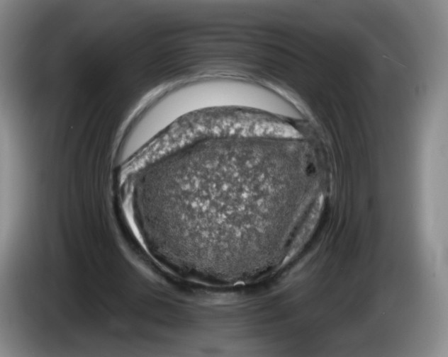 X0000083980438200703091827