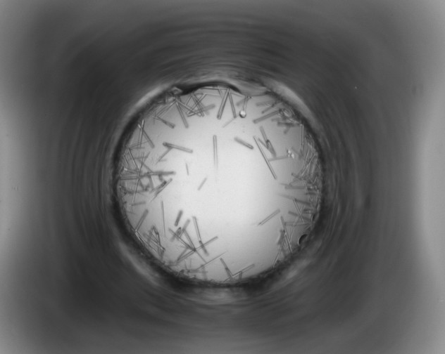 X0000083980439200703091827