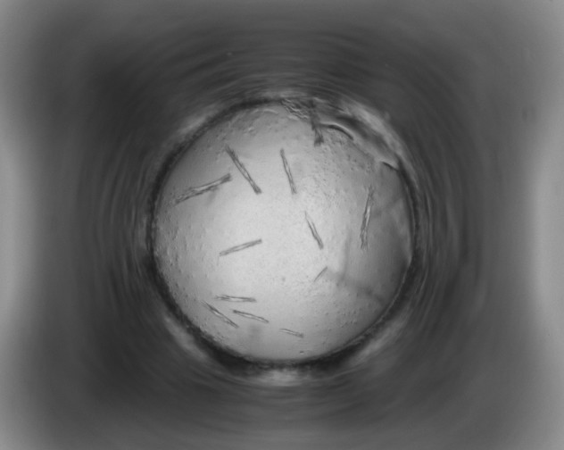 X0000083980441200703091827