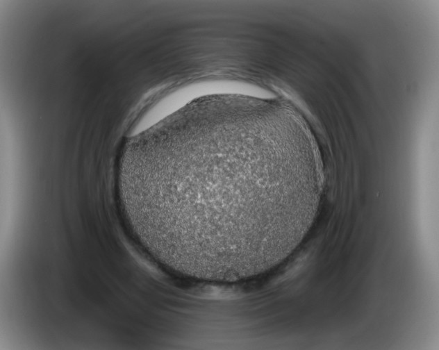 X0000083980442200703091827