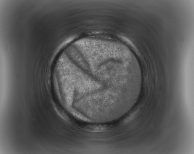 X0000083980443200703091827