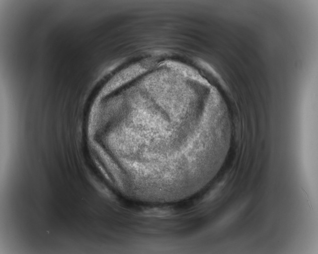 X0000083980447200703091827