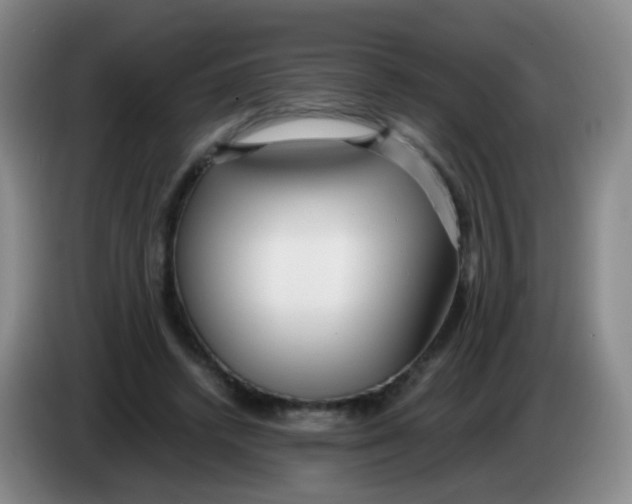 X0000083980448200703091827