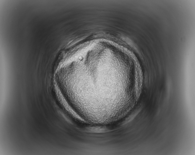 X0000083980449200703091827