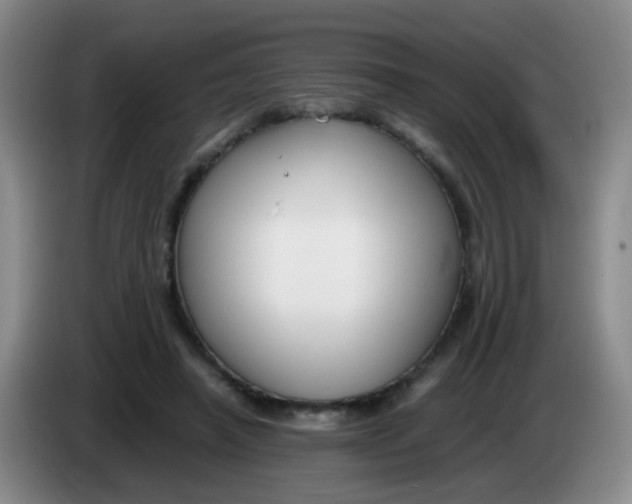 X0000083980450200703091827