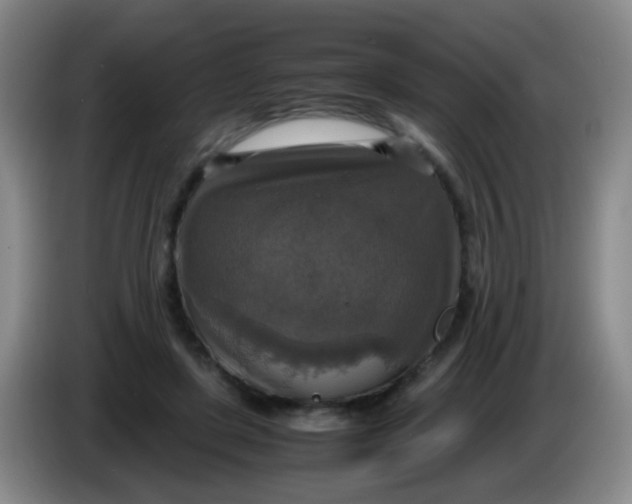 X0000083980451200703091827