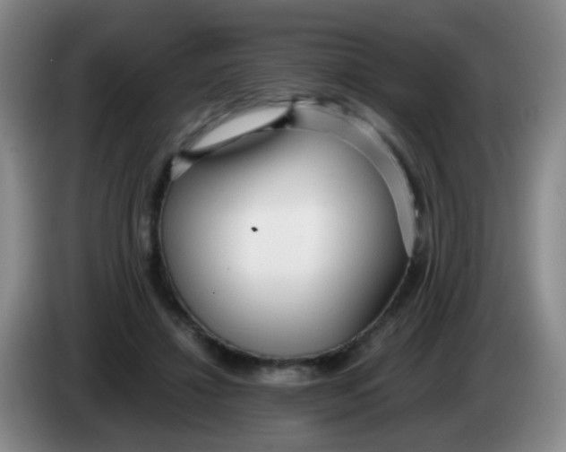 X0000083980452200703091827