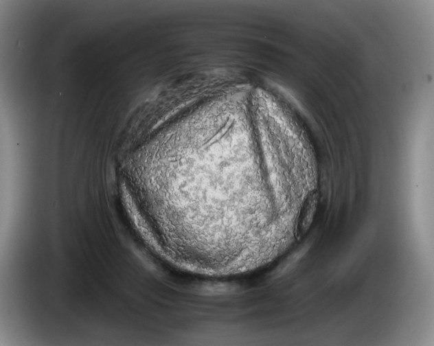 X0000083980453200703091827