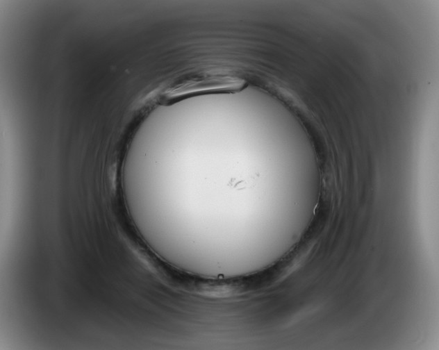 X0000083980454200703091827