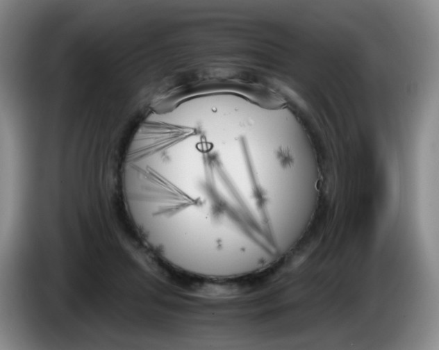 X0000083980455200703091827