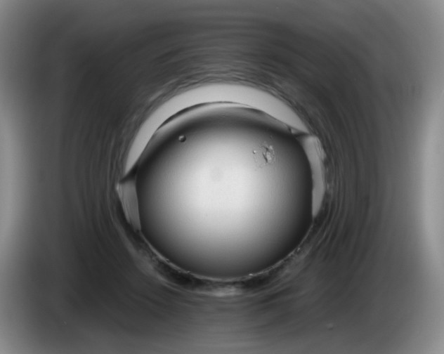 X0000083980456200703091827