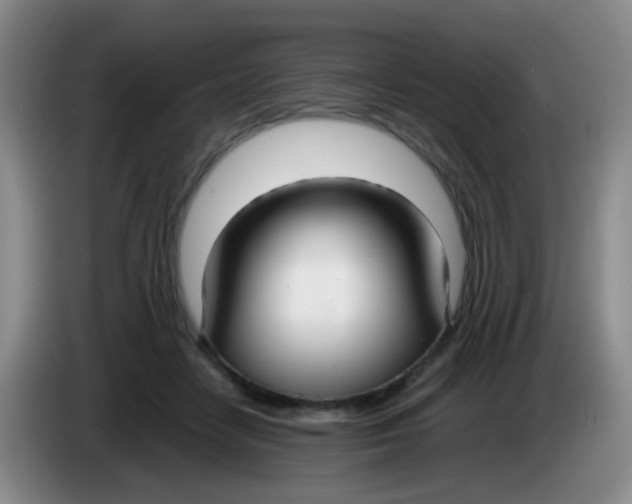 X0000083980458200703091827