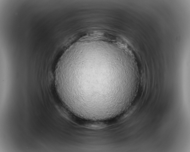 X0000083980459200703091827