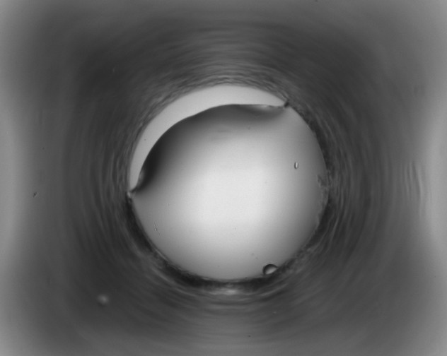 X0000083980460200703091828