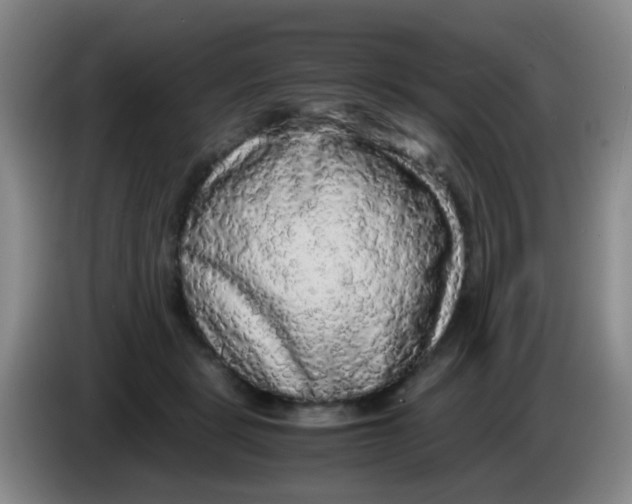 X0000083980461200703091828