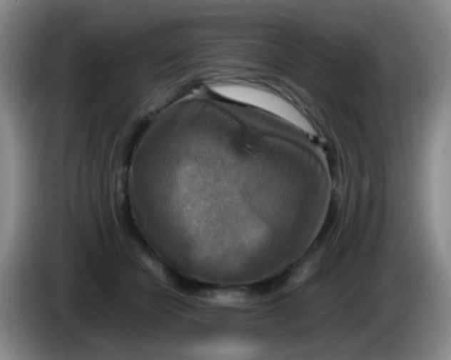 X0000083980462200703091828