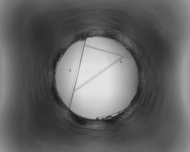 X0000083980463200703091828