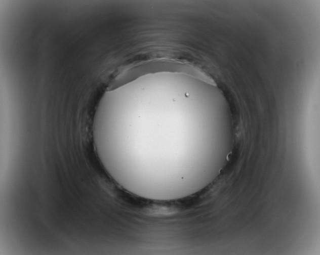 X0000083980464200703091828