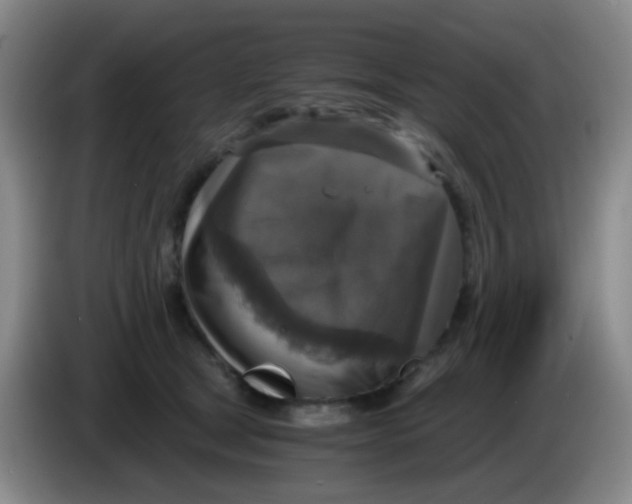 X0000083980465200703091828