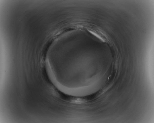 X0000083980467200703091828