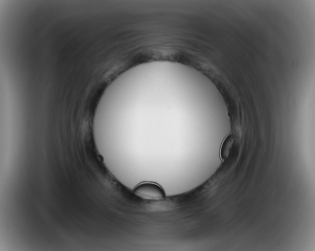 X0000083980468200703091828