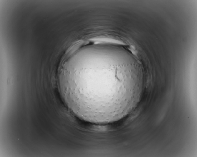 X0000083980469200703091828