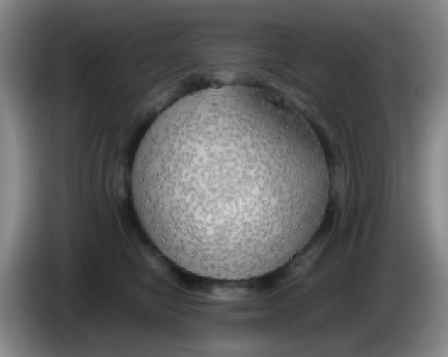 X0000083980470200703091828