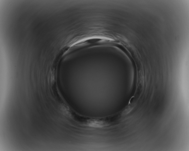 X0000083980471200703091828