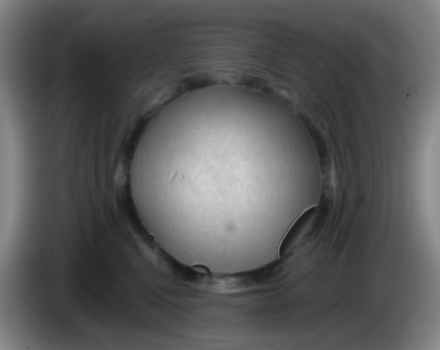 X0000083980472200703091828