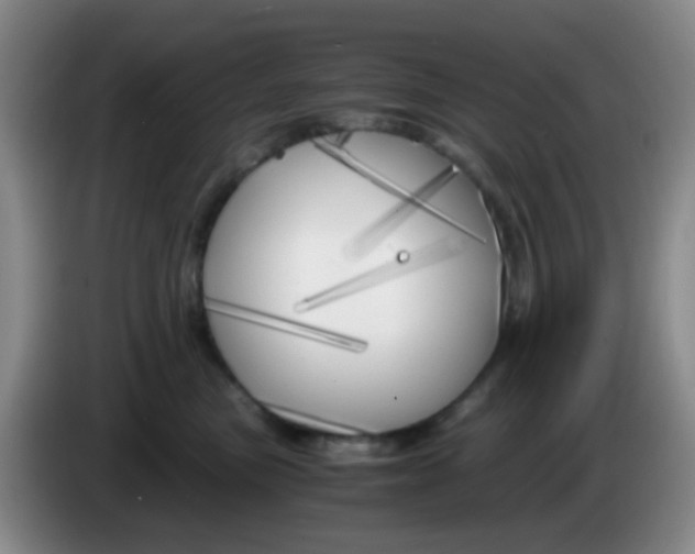 X0000083980473200703091828