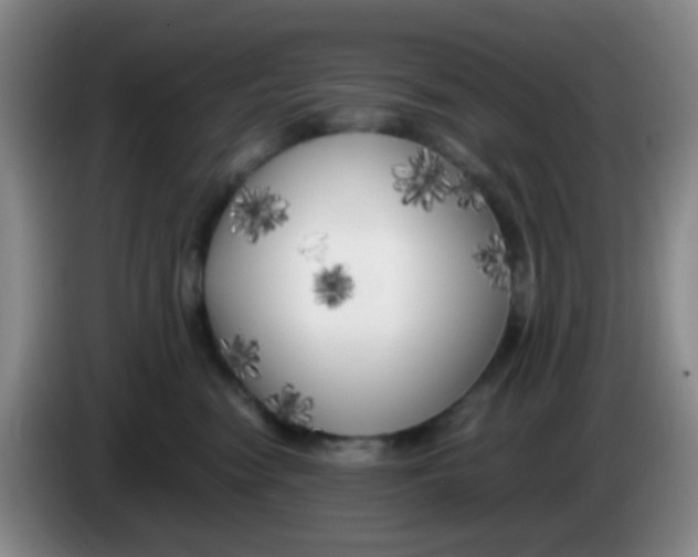 X0000083980474200703091828