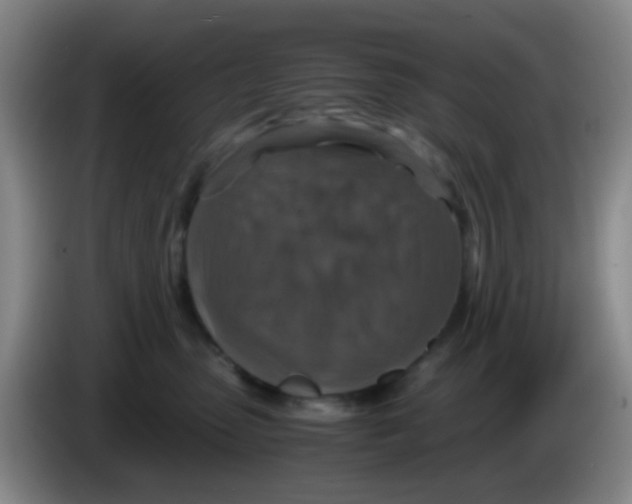 X0000083980475200703091828