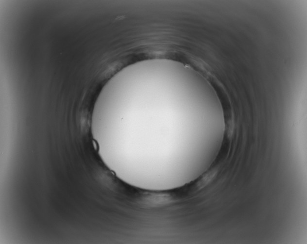 X0000083980476200703091828