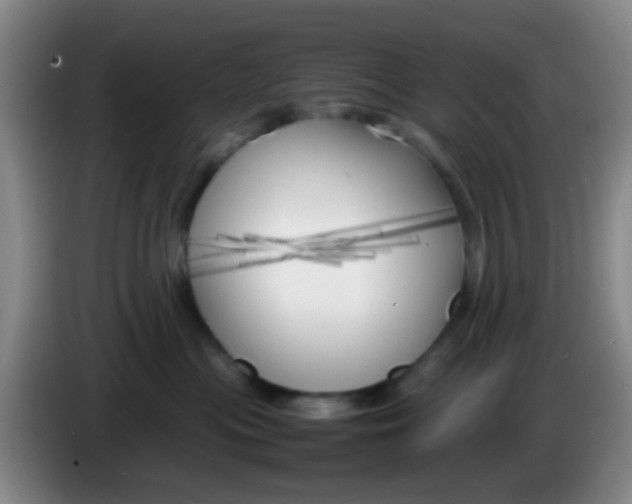 X0000083980477200703091828