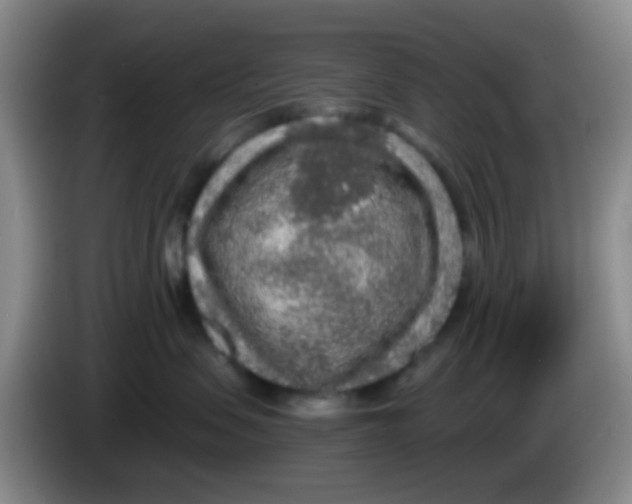 X0000083980479200703091828