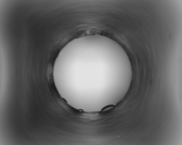 X0000083980480200703091828