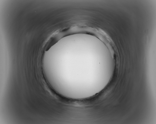 X0000083980481200703091827