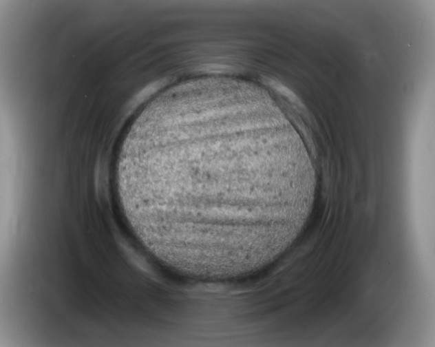 X0000083980482200703091827