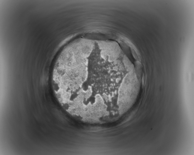 X0000083980483200703091827