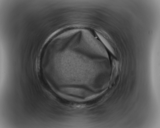 X0000083980484200703091827