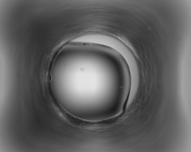 X0000083980485200703091827