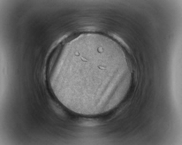 X0000083980486200703091827