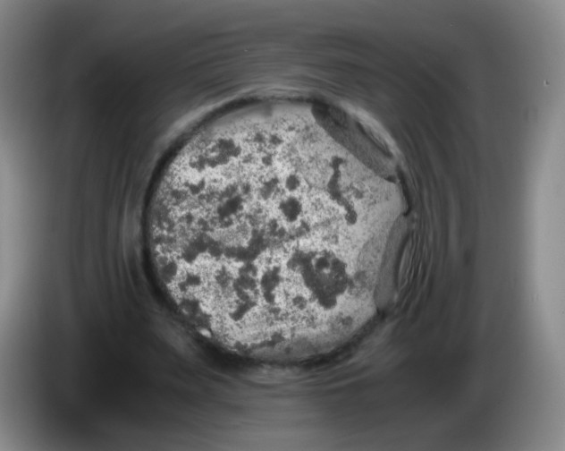 X0000083980487200703091827