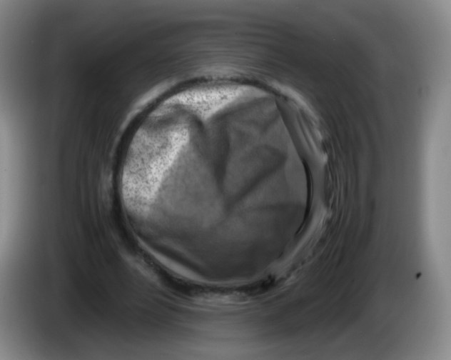 X0000083980488200703091827