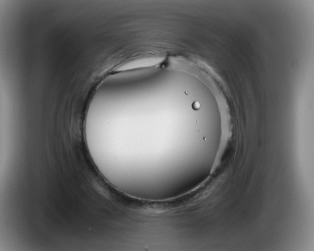 X0000083980489200703091827