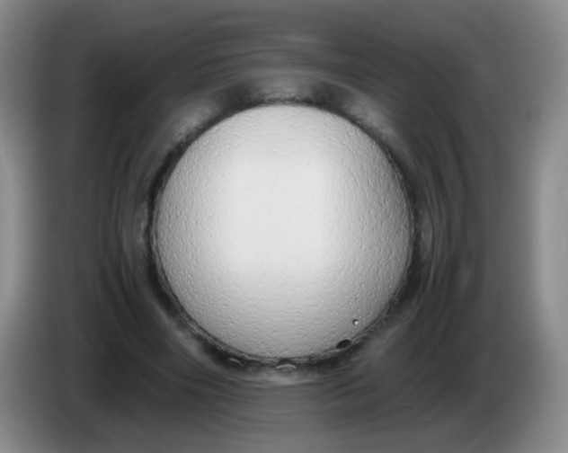 X0000083980490200703091827