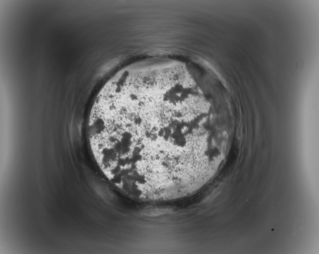 X0000083980491200703091827