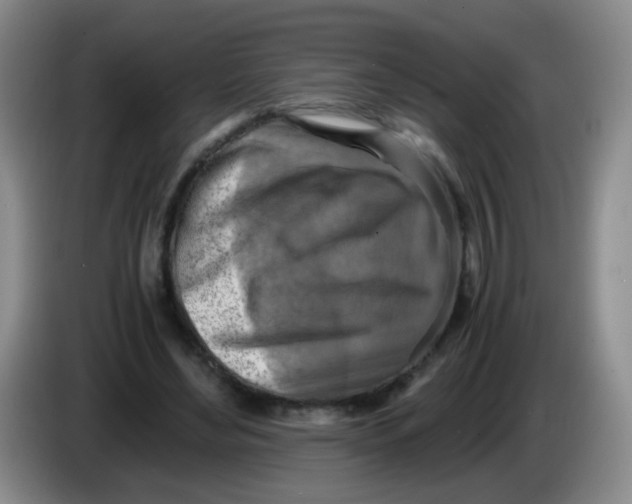 X0000083980492200703091827