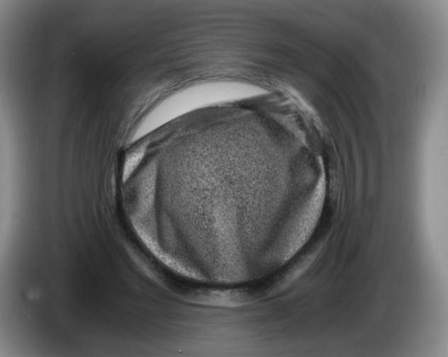 X0000083980493200703091827